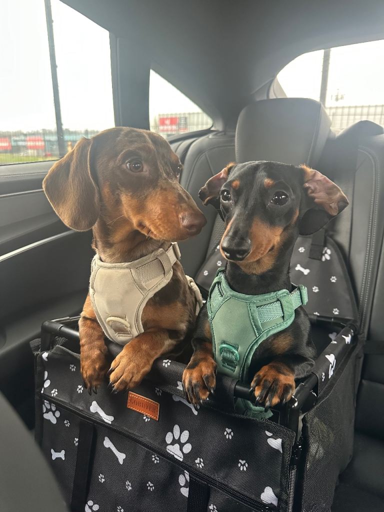 The Cutest Couple you’ll meet ❤️