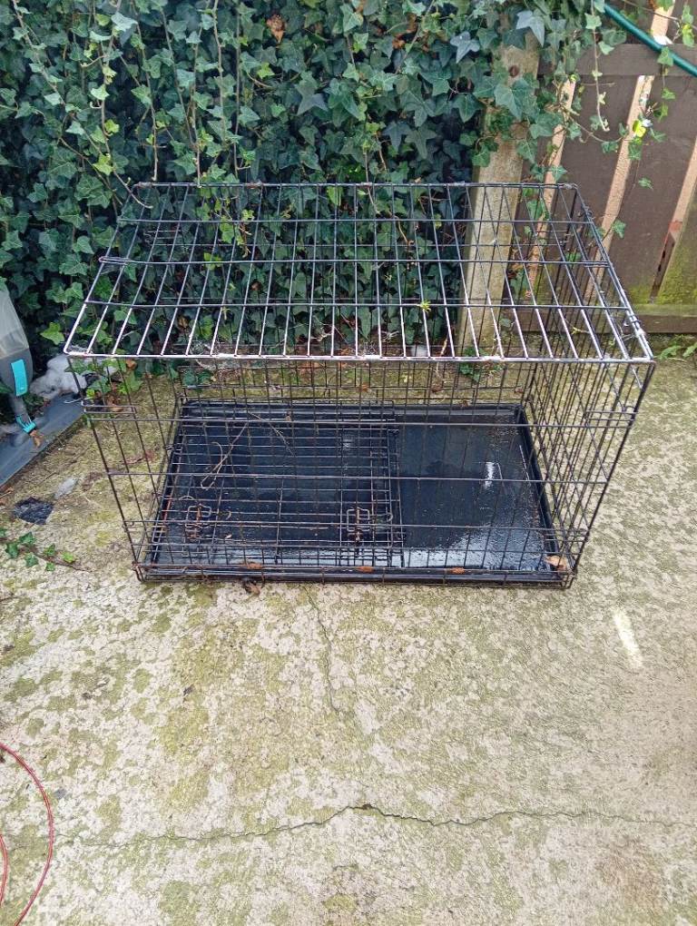 Large dog cage 