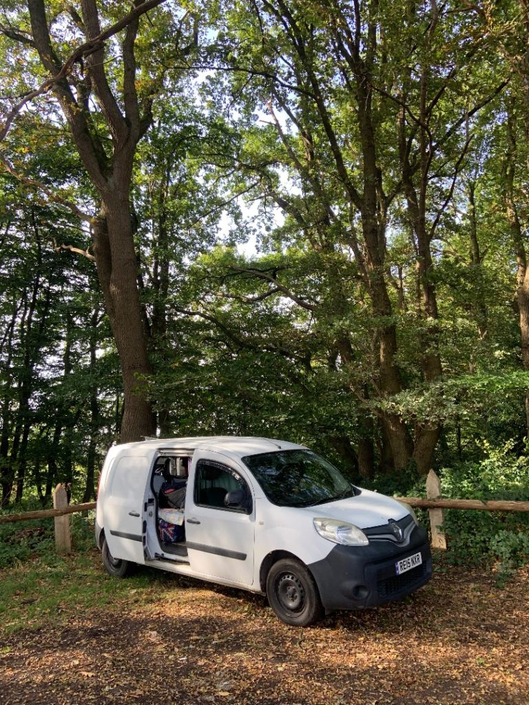 Renault, KANGOO, Panel Van, 2015, Manual, 1461 (cc)