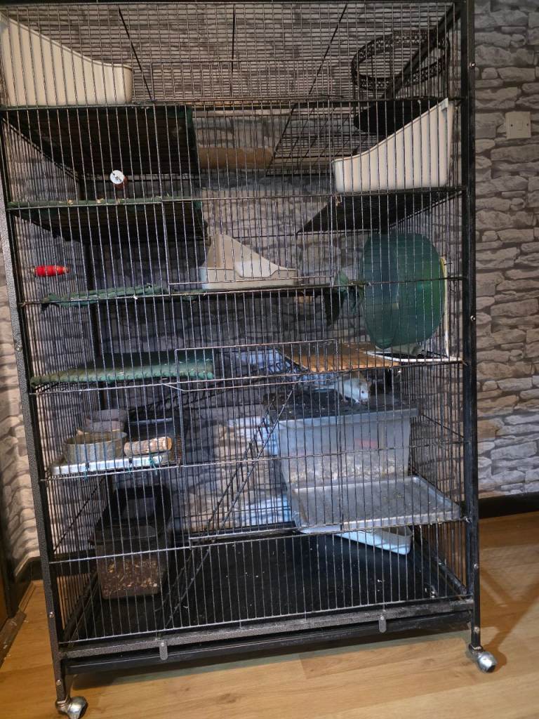 Rat cage anf accessories 