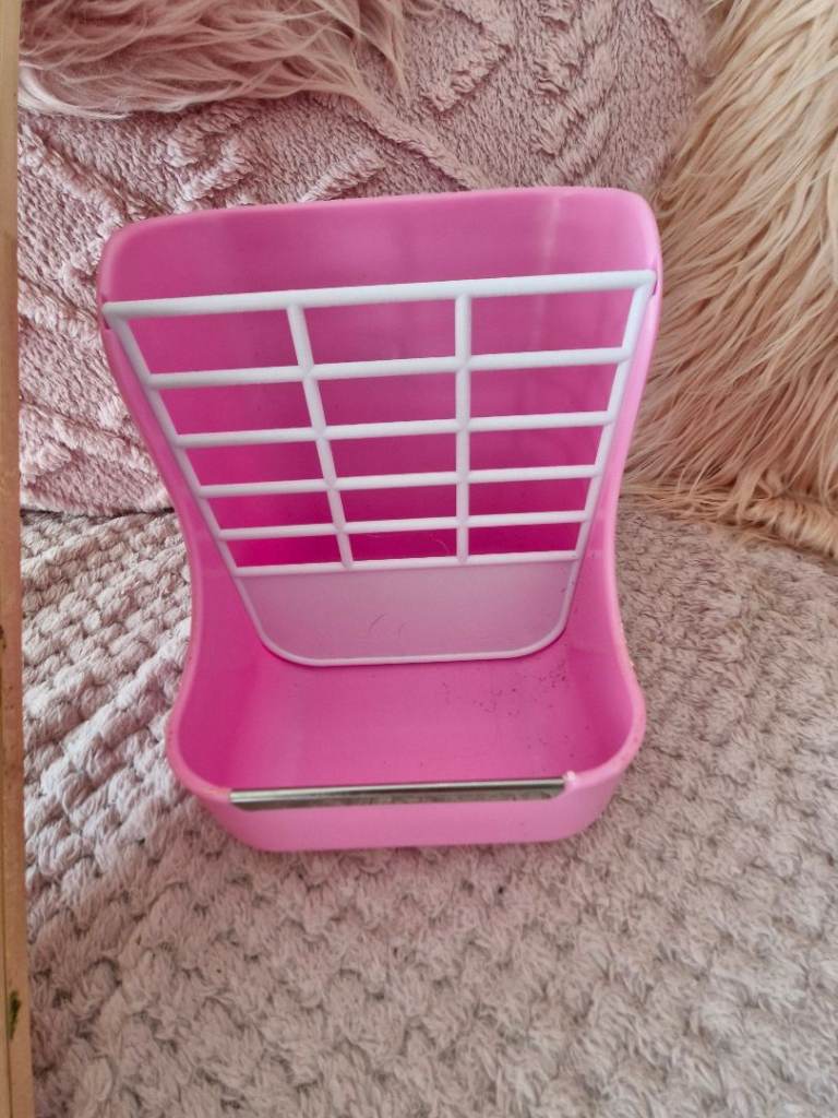 Guinea pig accessories 