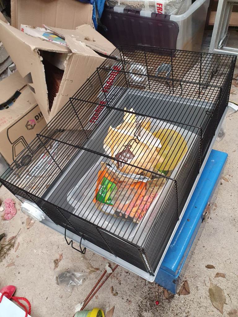 Hamster cage 