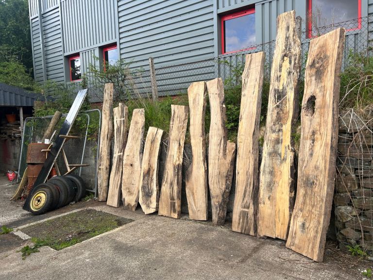 image for Bundle of Spalted Beech Planks/Boards/Blanks