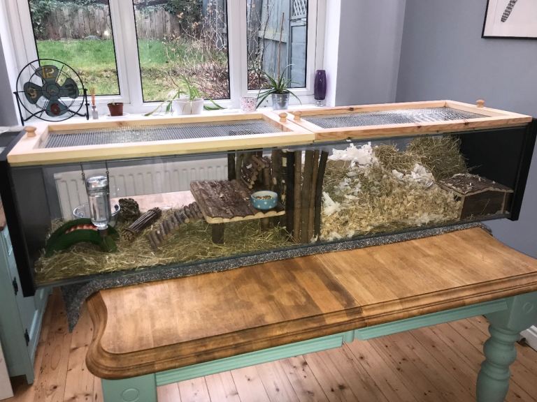 Gerbil enclosure - Nunthorpe