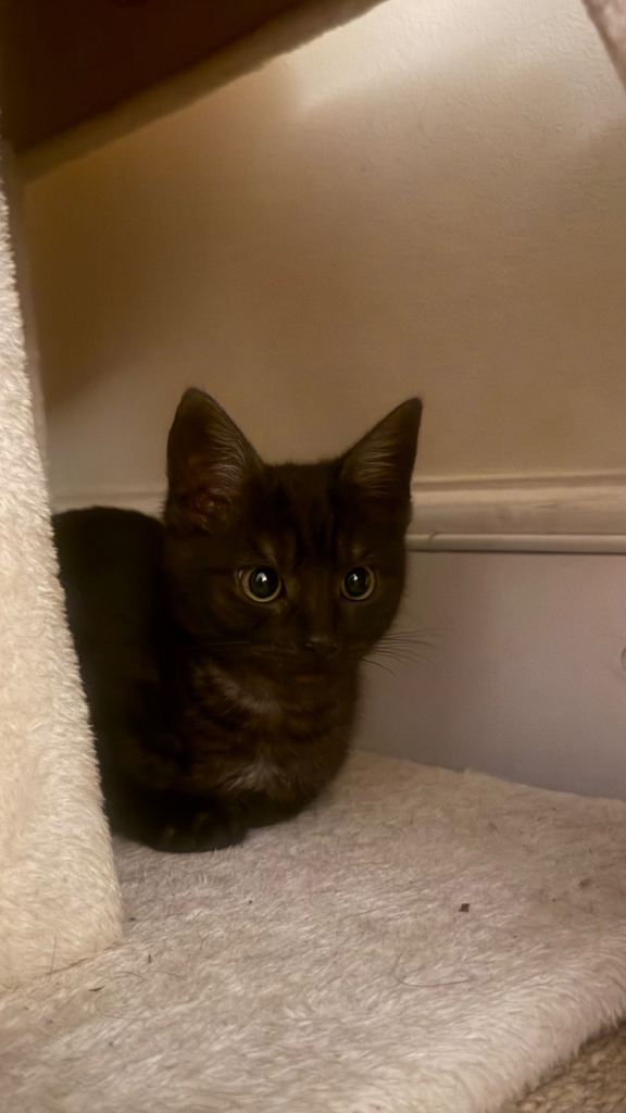 Handsome boy ready for home now