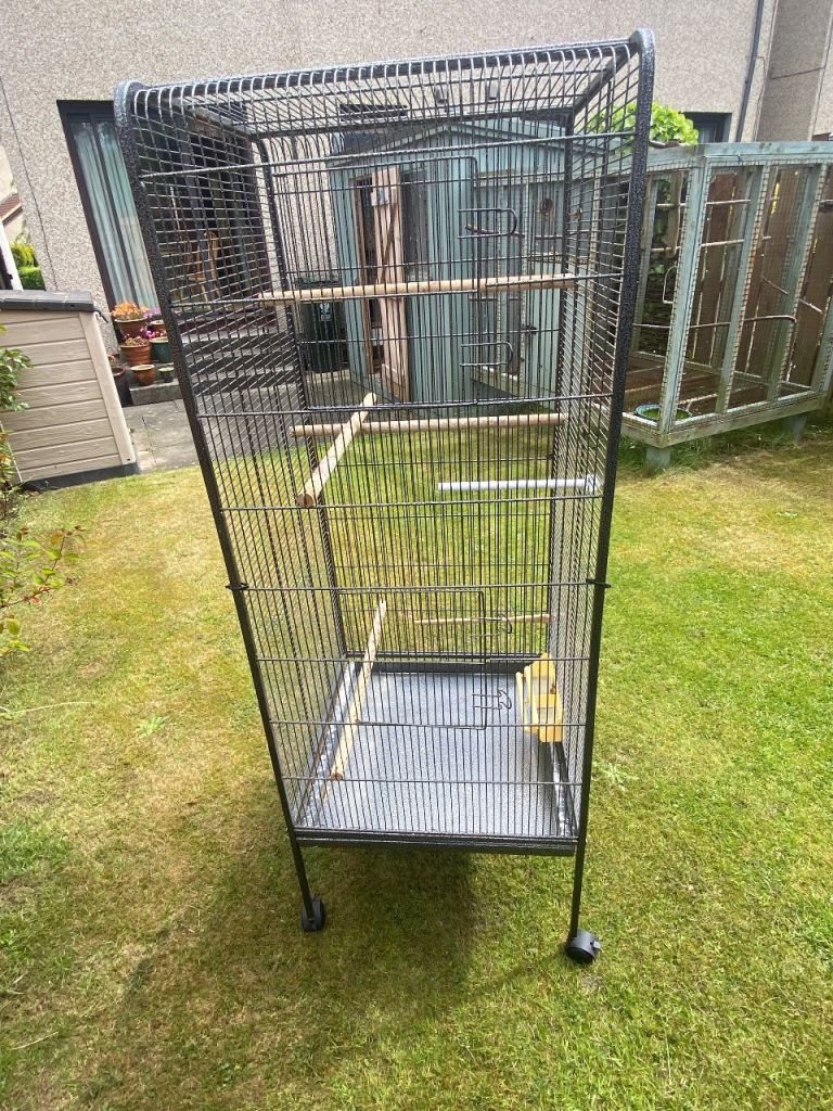 Bird cage 