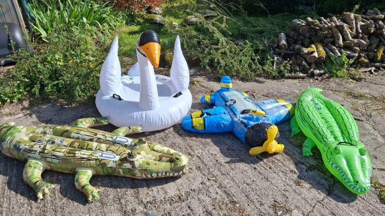 Job lot - pool inflatables beach and garden toys