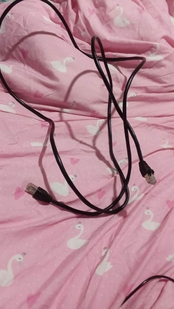 free- internet ethernet cable, black 200cm