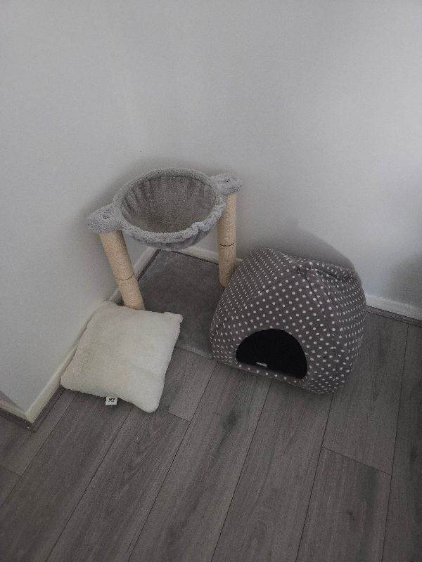 cat house 