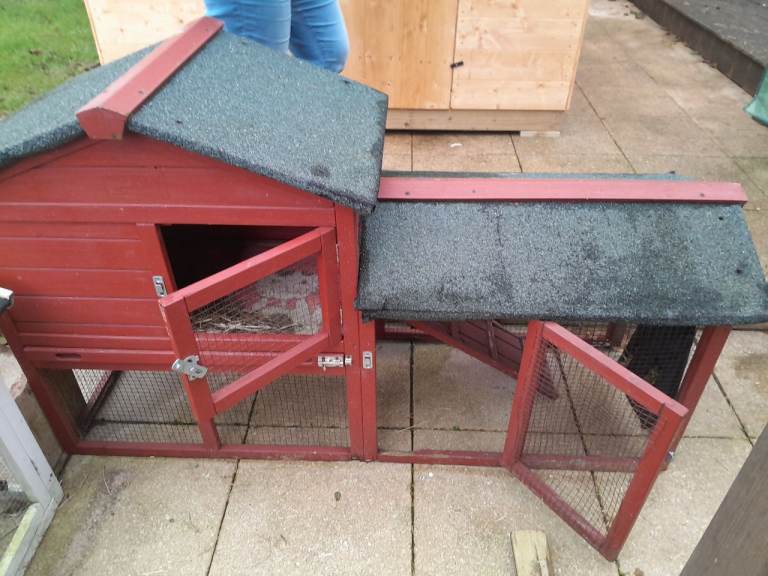 Rabbit guinea pig hutch