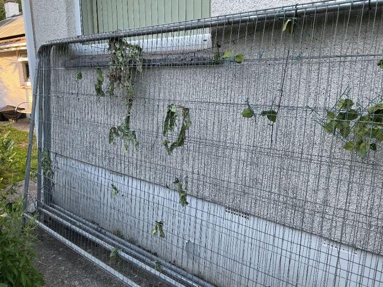 10 x Temporary Security Metal Fences 2m H x 3.4m W