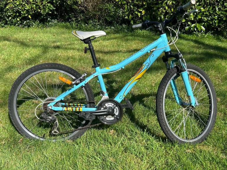 24" Mountain Bike