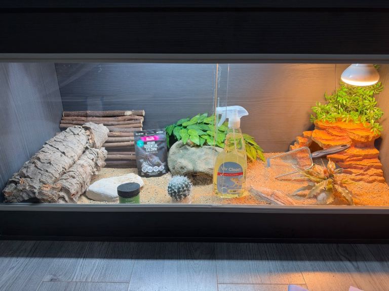 🦎 COMPLETE LEOPARD GECKO VIVARIUM SETUP – £275 ONO 🦎