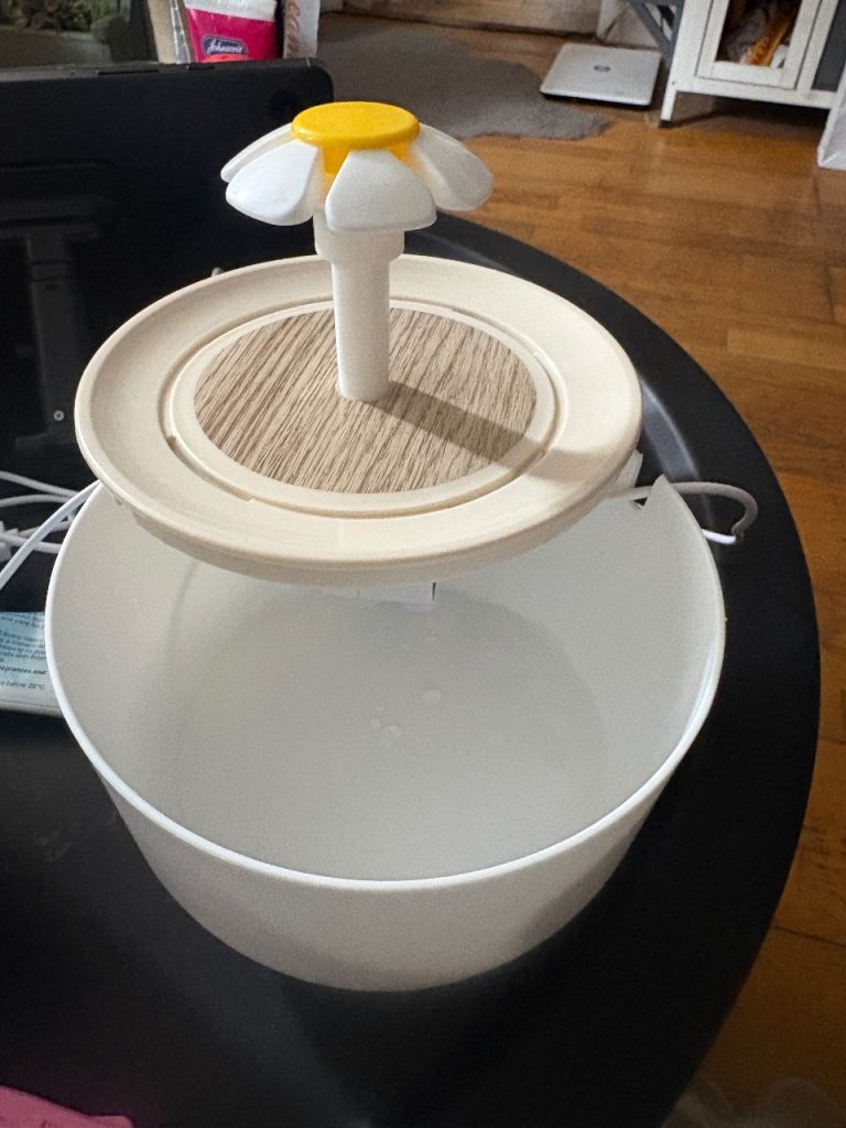 Water fountain