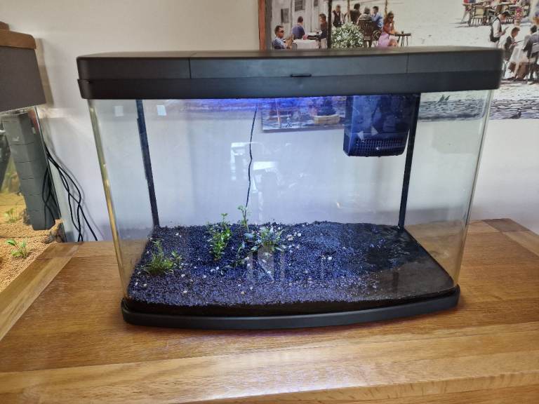 64lt Love Fish Panorama fish tank