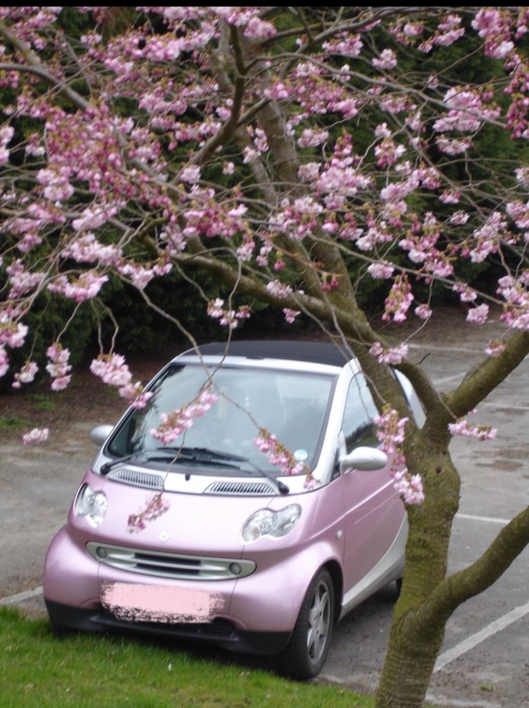 Full Set Smart cabrio 451 panels