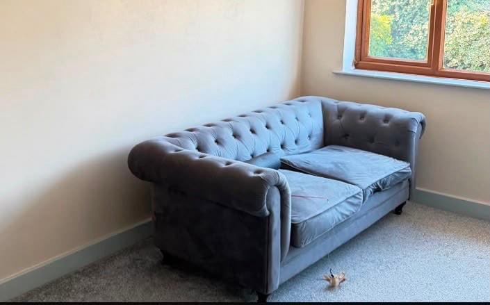 Free Sofa collection only 