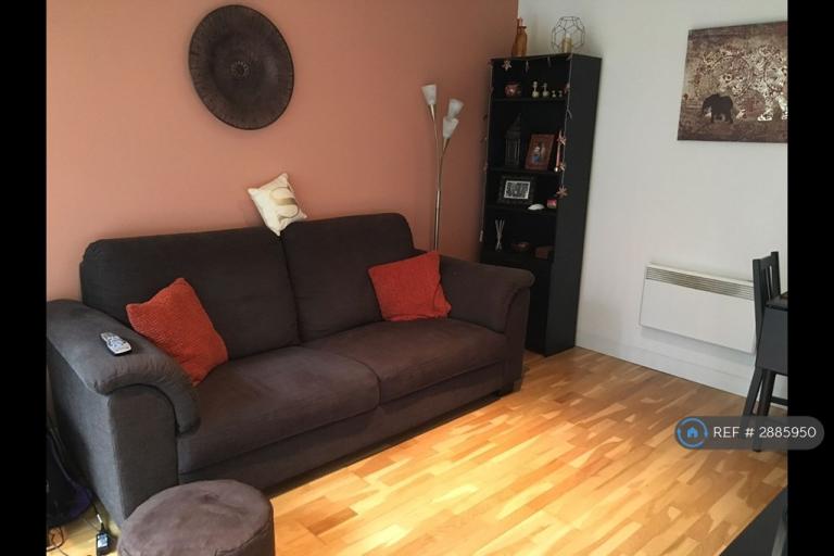 1 bedroom flat in Ellesmere Street, Manchester, M15 (1 bed) (#2885950)