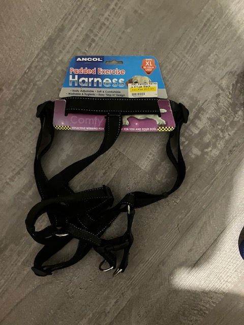 PADDED EXCERCISE HARNESS XL DOG