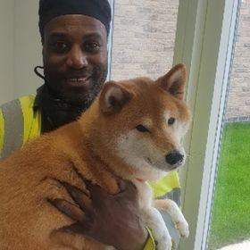 Electrician Sky TV Engineer Virgin TV Engineer : Aerial TV Engineer : Cat5e/6 Engineer : Handyman 