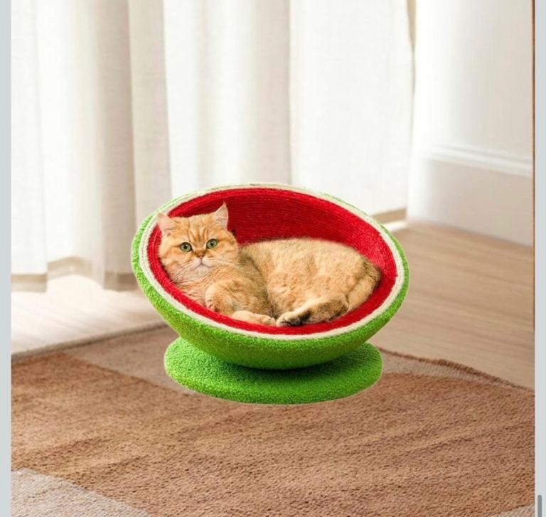 Watermelon Cat Scratcher/ Bowl