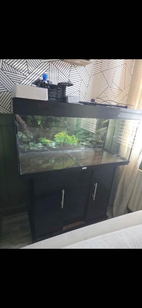 Large Aquarium Fish Tank
