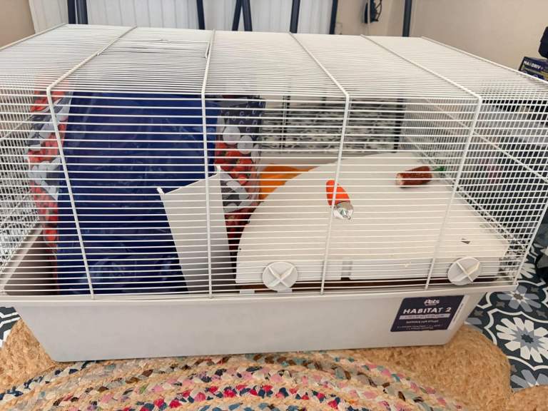 Hamster Start Up Set
