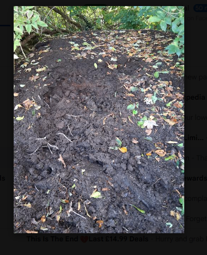 Free, well rotted horse manure 