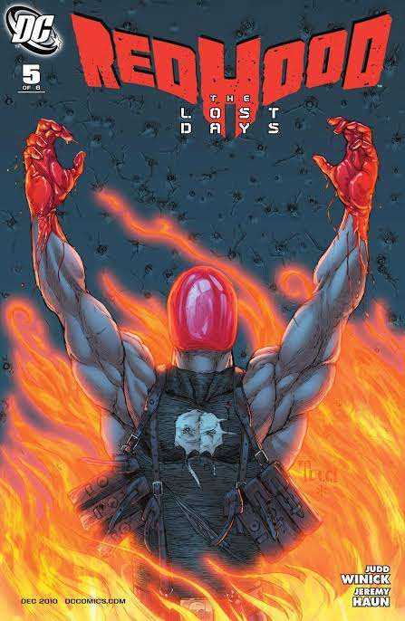 Batmsn red hood lost boys novel
