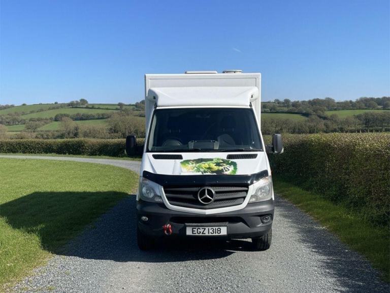 2016 Mercedes-Benz Sprinter 311 CDI 3.0 Diesel