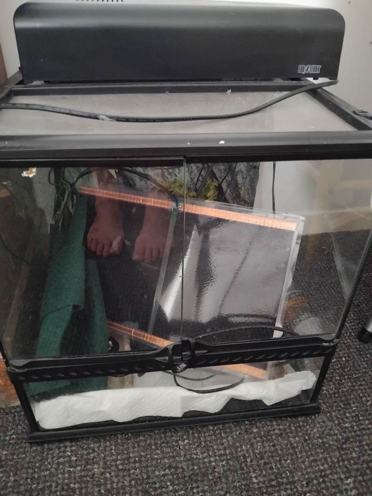 Gecko tank heater lights dishes etc 