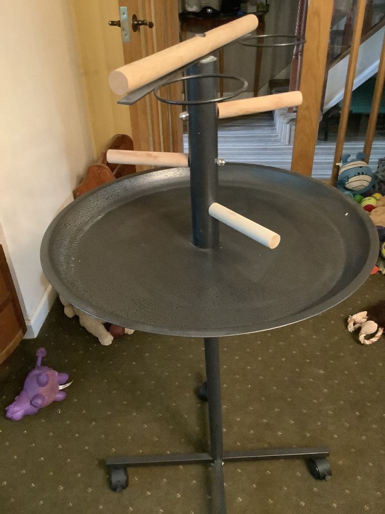 Parrot Stand