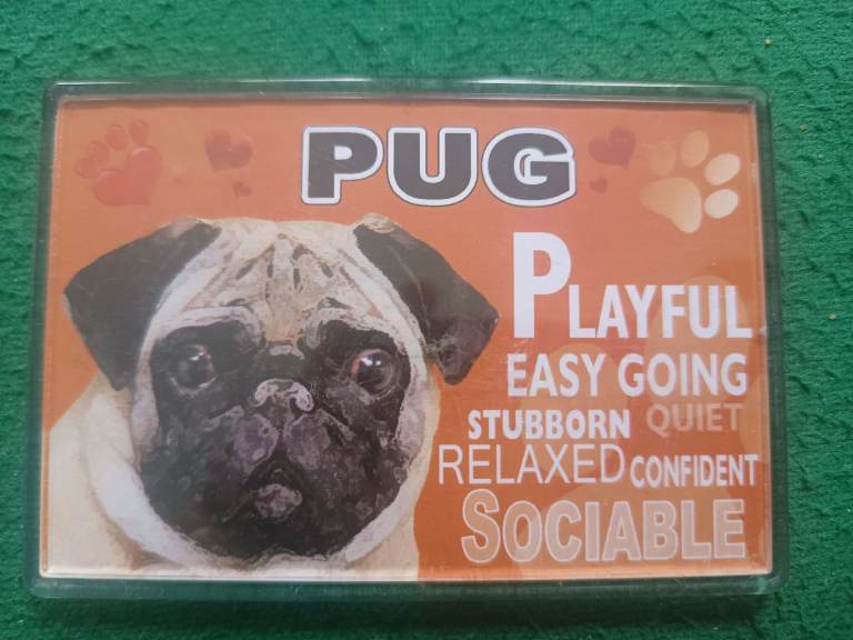  Pug Dog Fridge Magnet