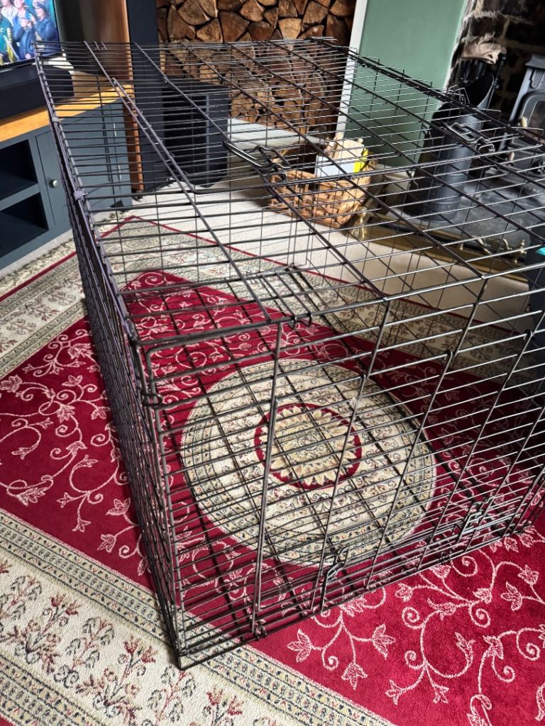 Large Dog Crate