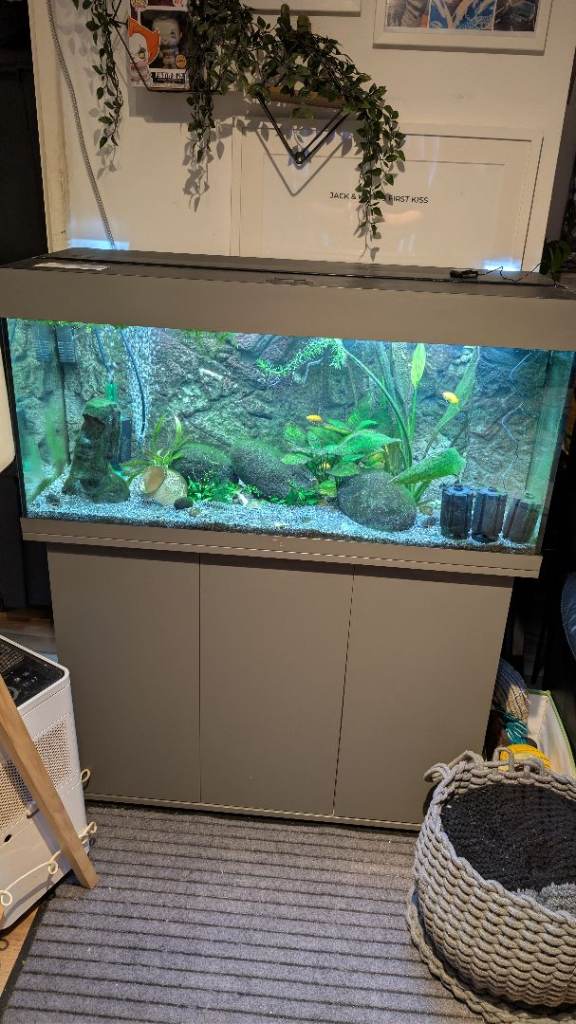 Fish Tanks + Fish Supplies 