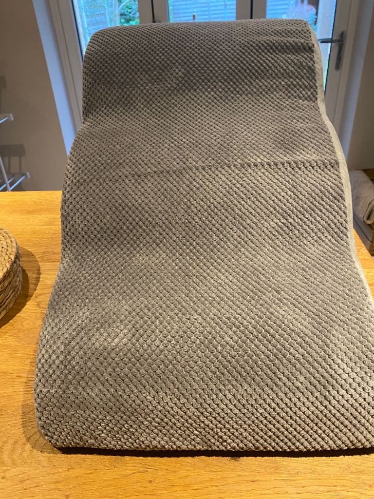 Excellent Condition Pet Steps 