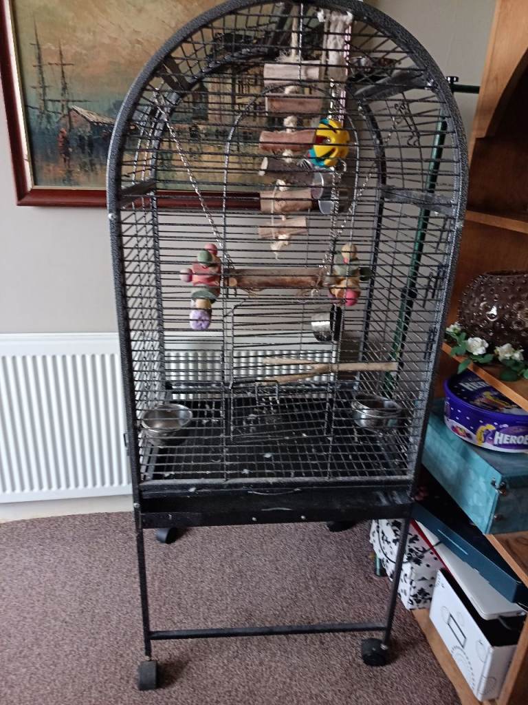 Bird Cage and Perch. 