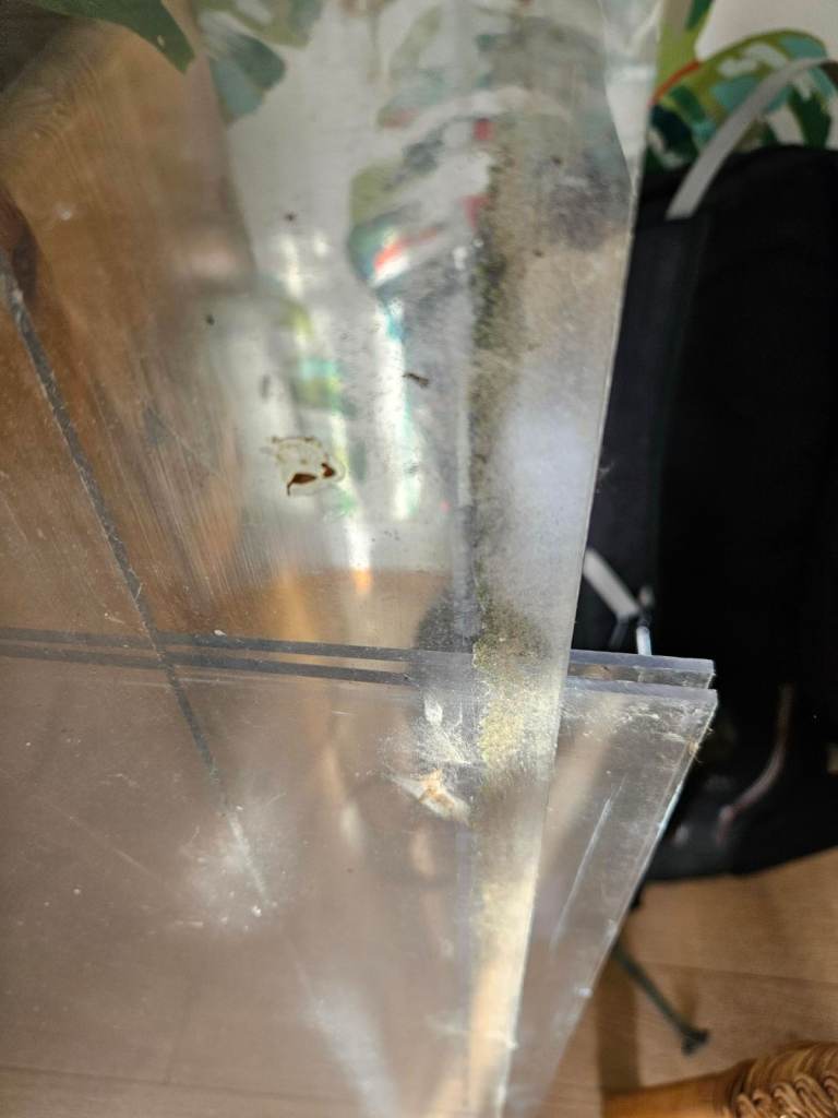 Perspex window sheets