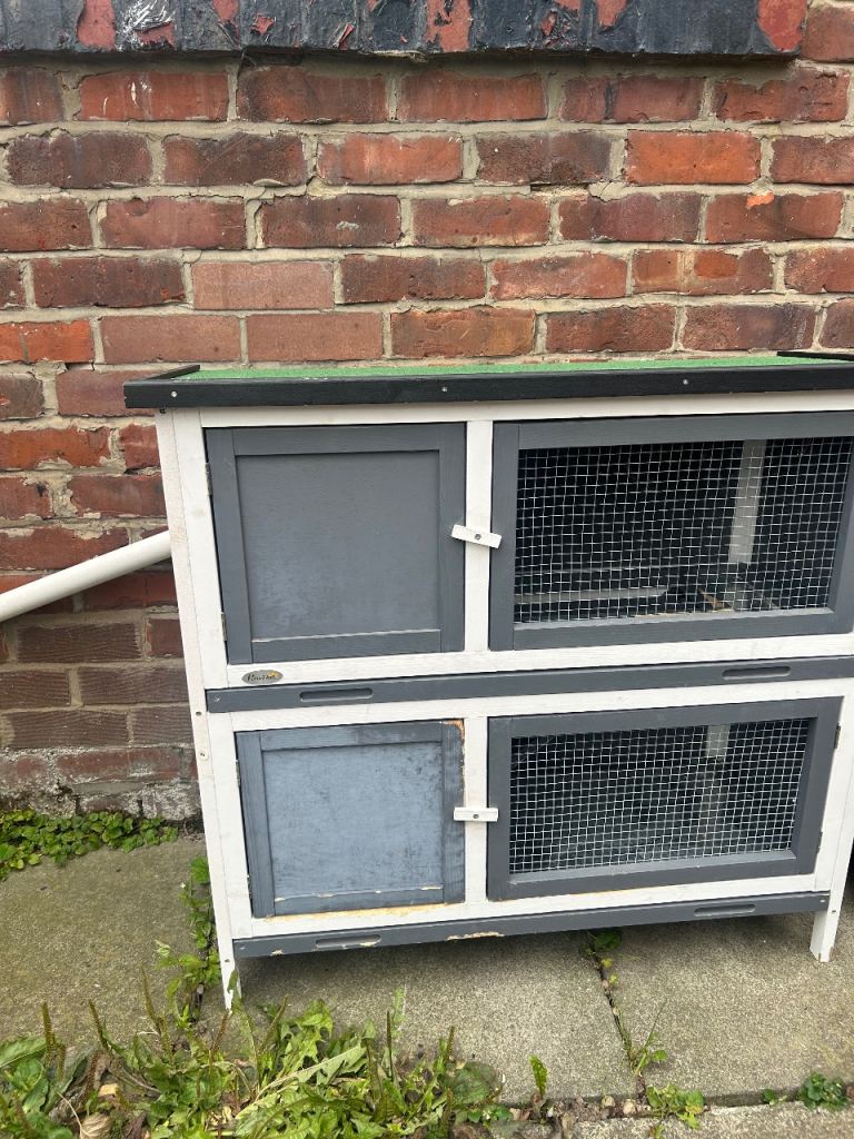 Rabbit hutch 