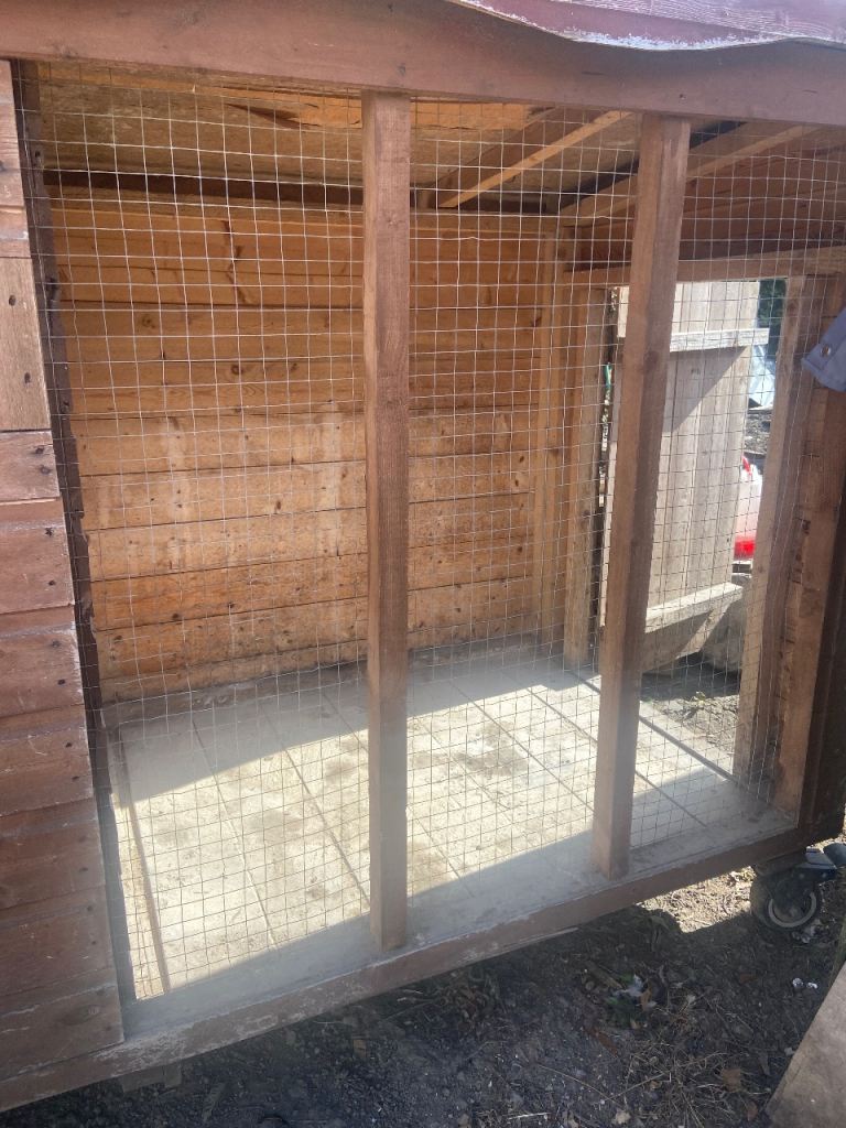Two large chicken coop house (can buy individually)