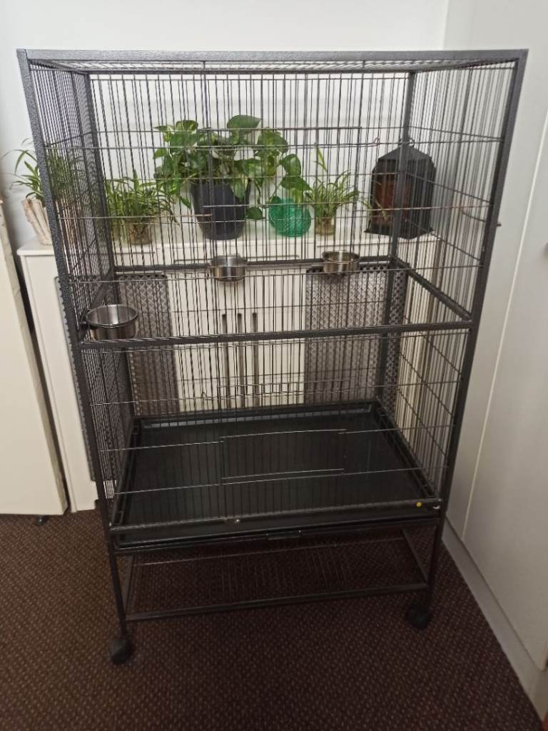 Large bird cage for sale