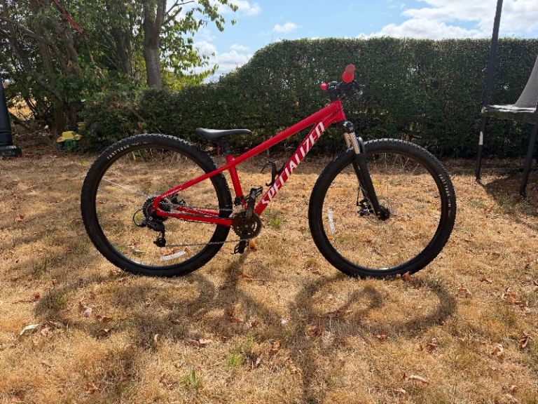 Specialized Rock Hopper 29  - adult small 2023 model 