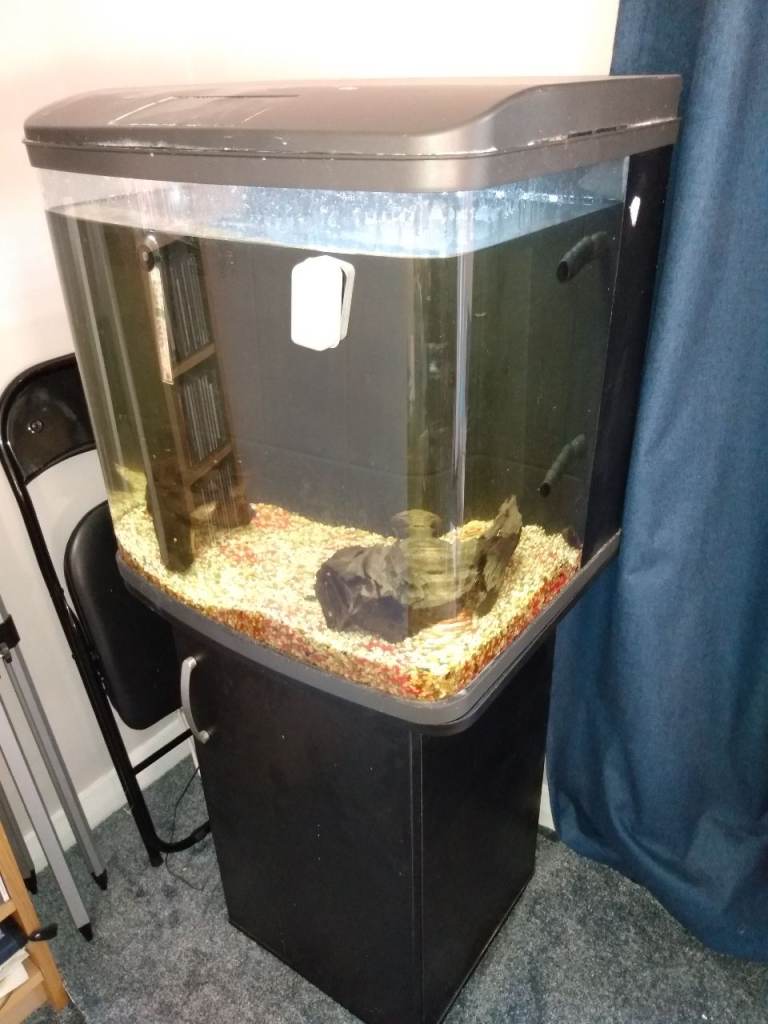 100l fish tank/aquarium with stand/cupboard and accessories
