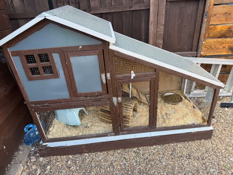 Guinea pigs+hutch 