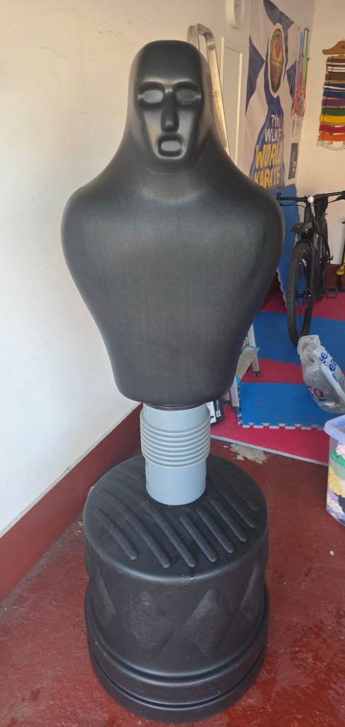 Freestanding Punchbag. Martial ArtsTraining BOB