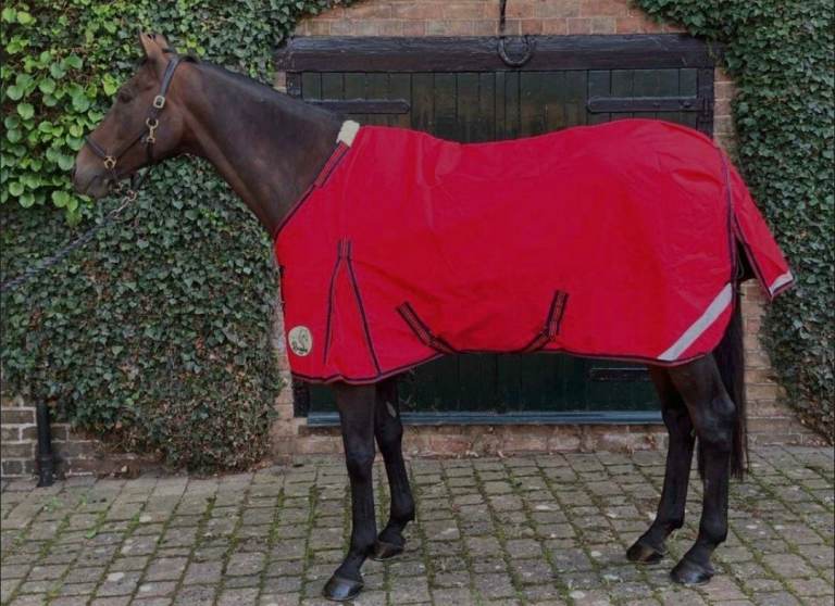 Ruggles 400g Heavyweight V2 1200D Turnout Rug - 6'