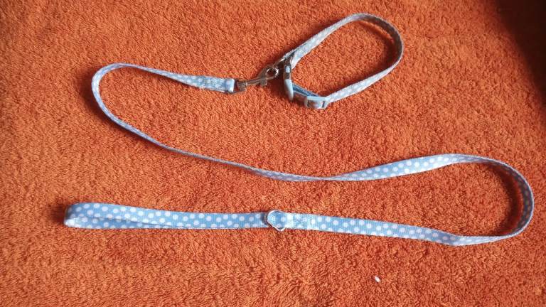 Puppy s dog lead and collar as new £5