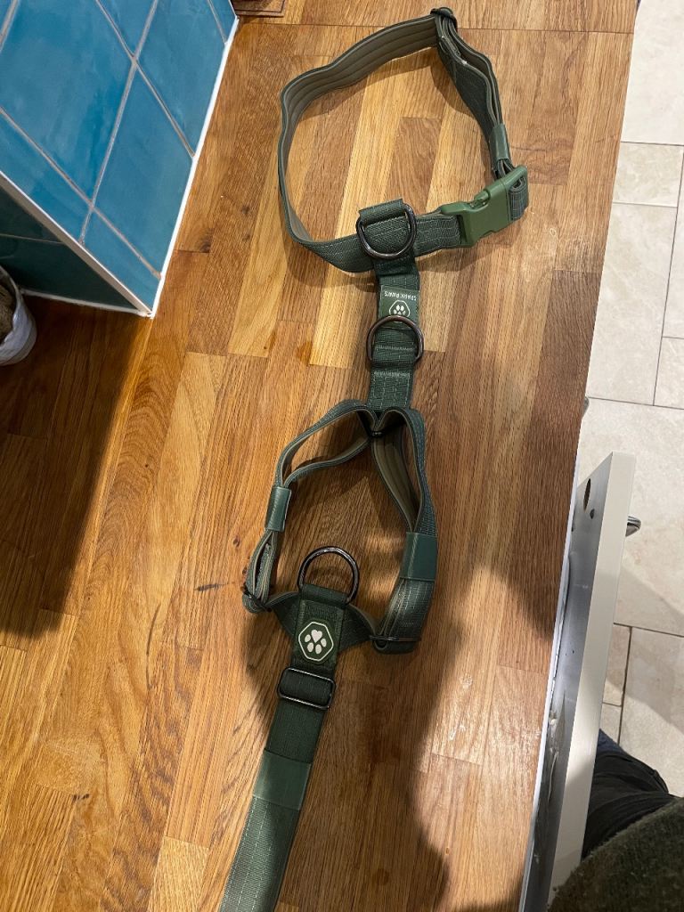 Lucky Paws Harness dog medium