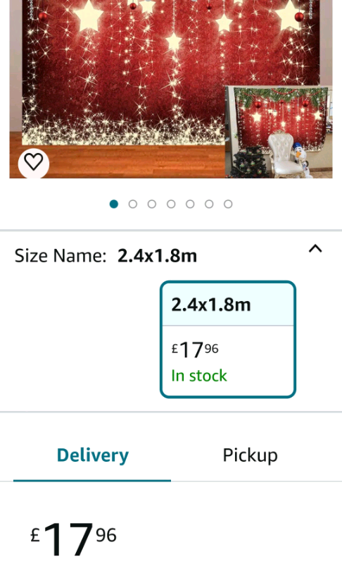 Bnip Christmas canvas backdrop 