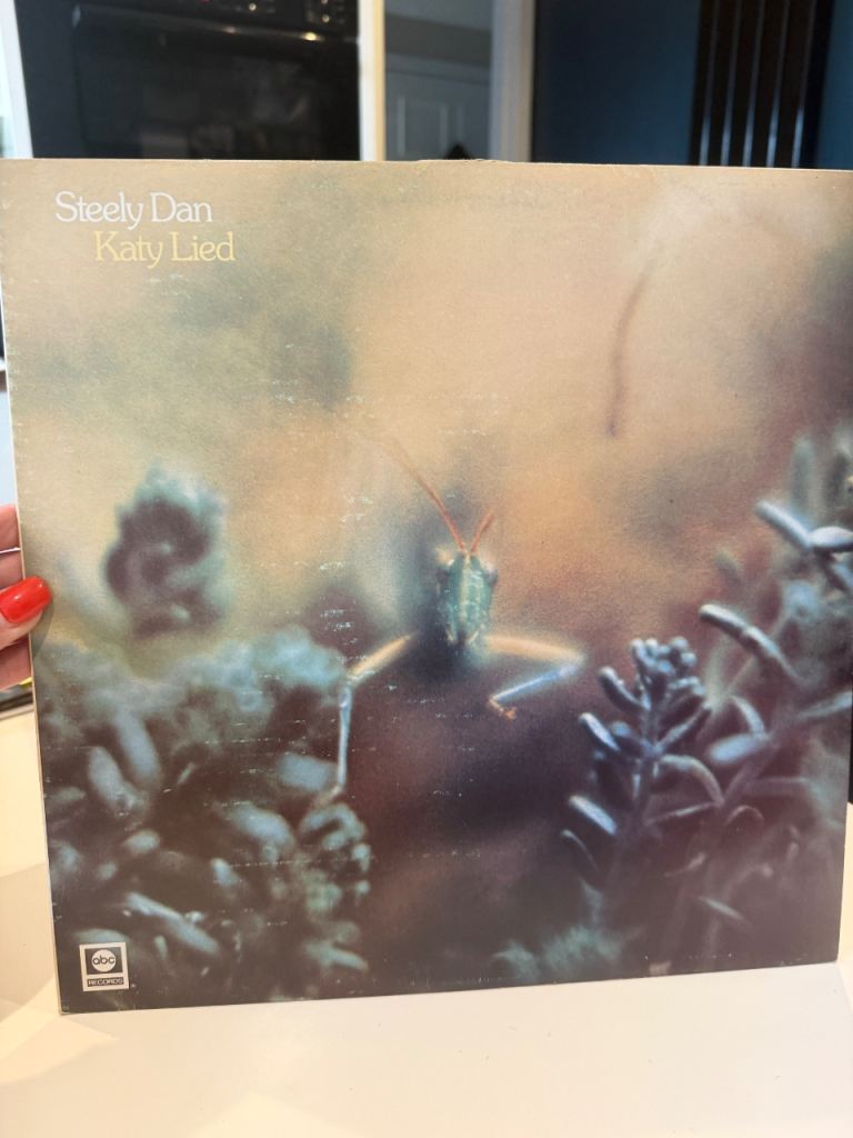 Steely Dan - Katy Lied Vinyl LP - Good Condition